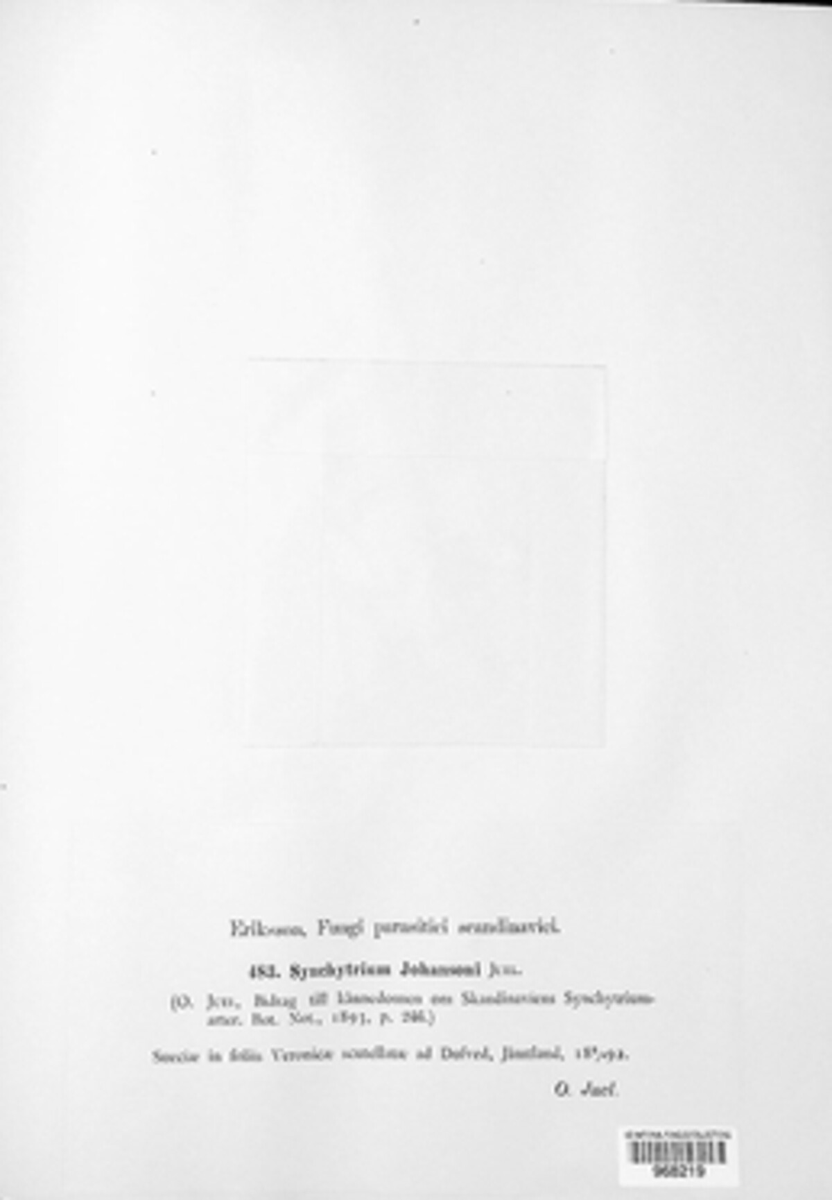 Synchytriaceae image
